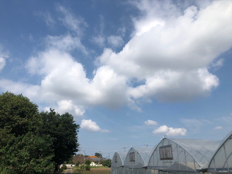 空