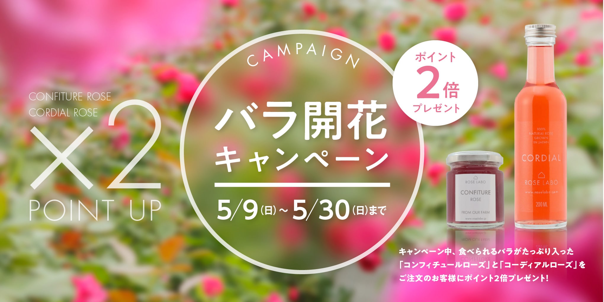 本日5/1(土)より、おうち生活応援キャンペーン実施いたします!