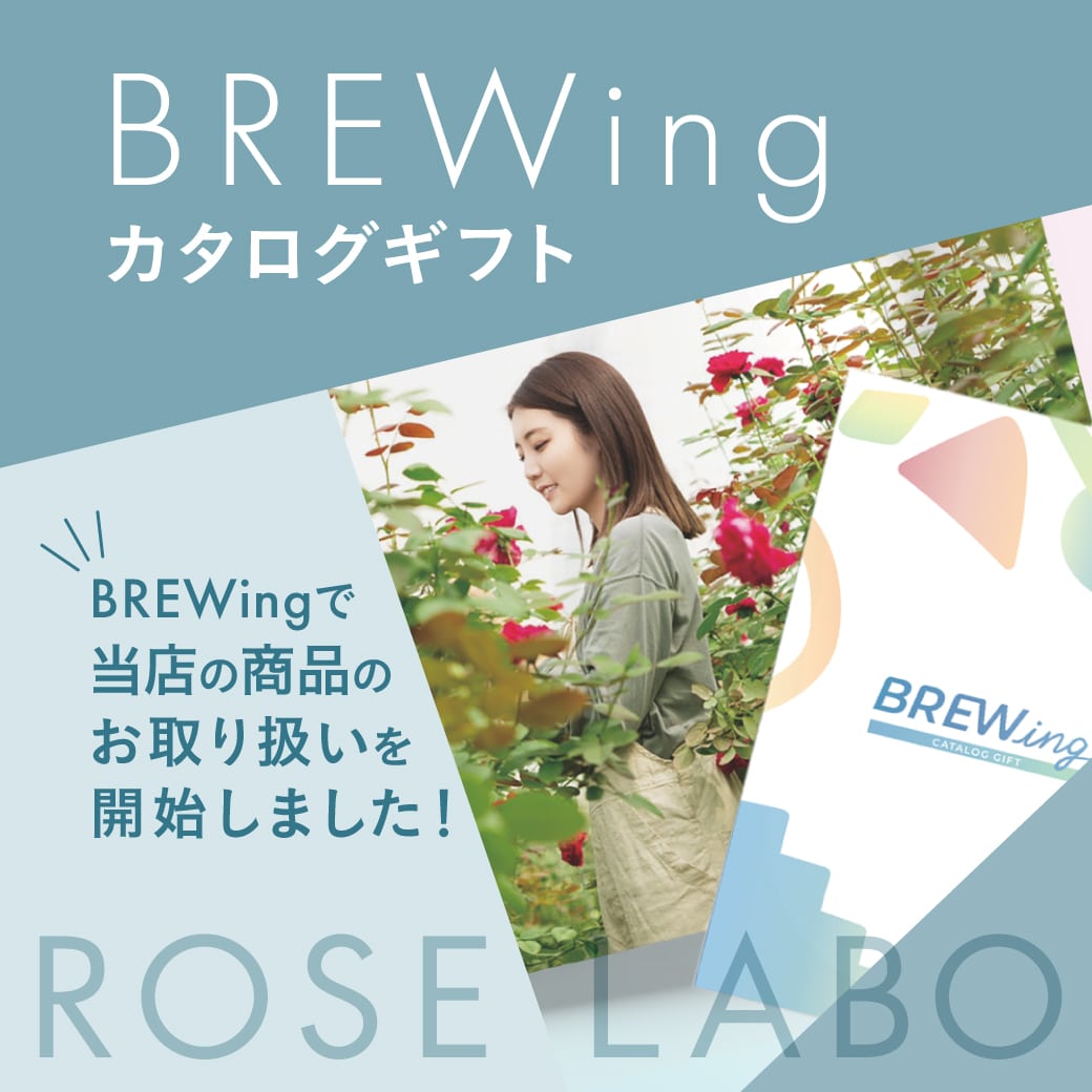 BREWingでのお取り扱いを開始しました。