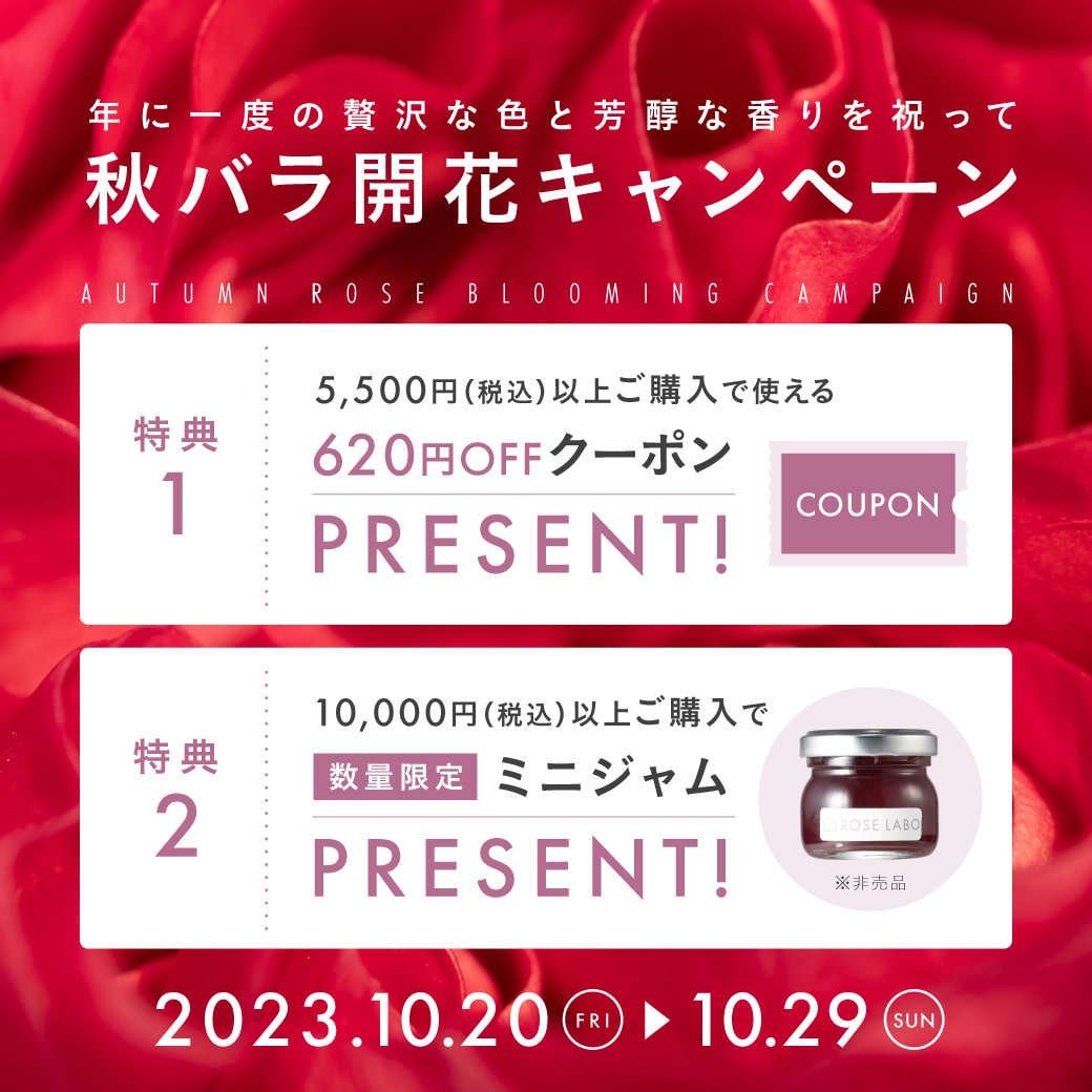 秋バラ開花CP2310