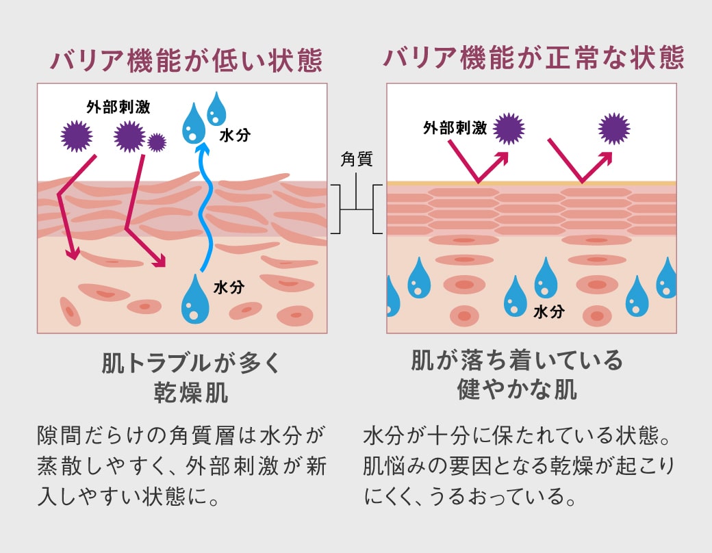 バリア機能