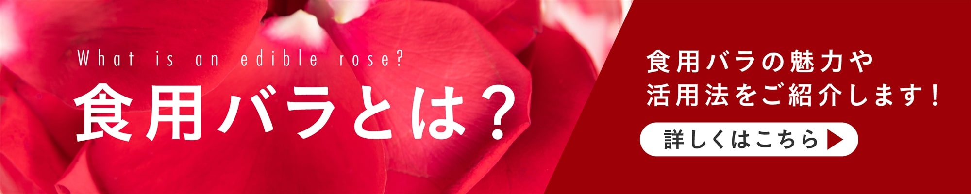食用バラとは?魅力や活用法をご紹介