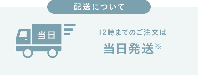 12時までのご注文は当日発送
