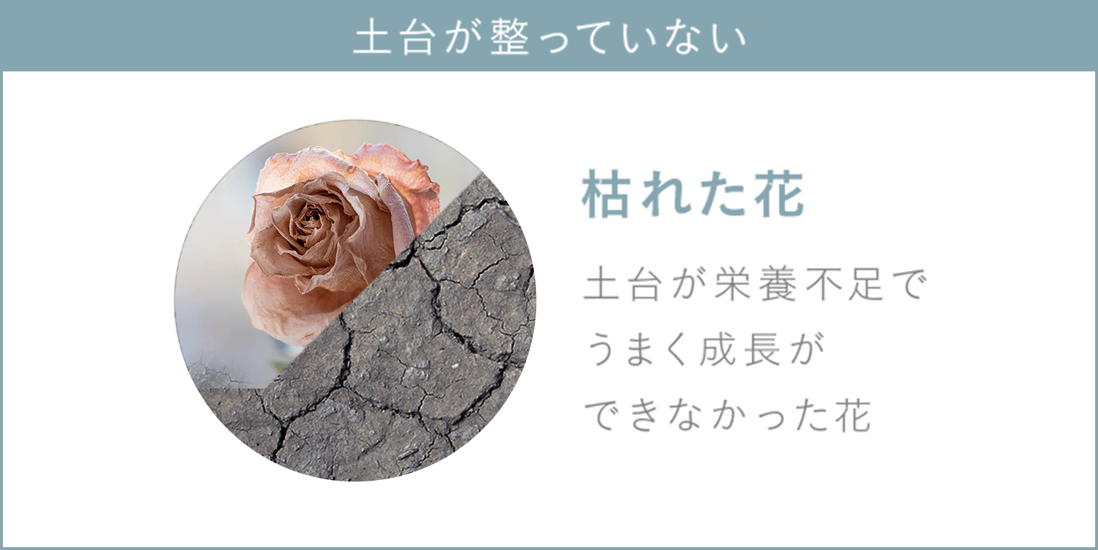 土台が整っていない　枯れた花　土台が栄養不足でうまく成長できなかった花