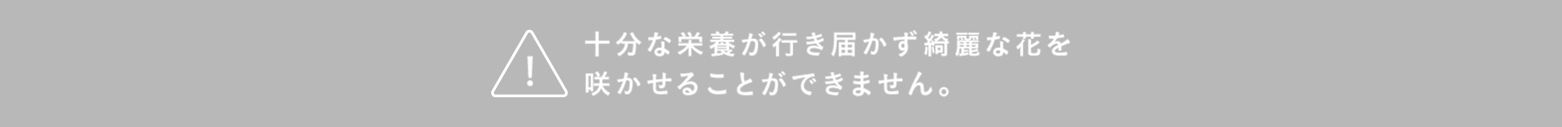 十分な栄養が行き届かず綺麗な花を咲かせることができません。