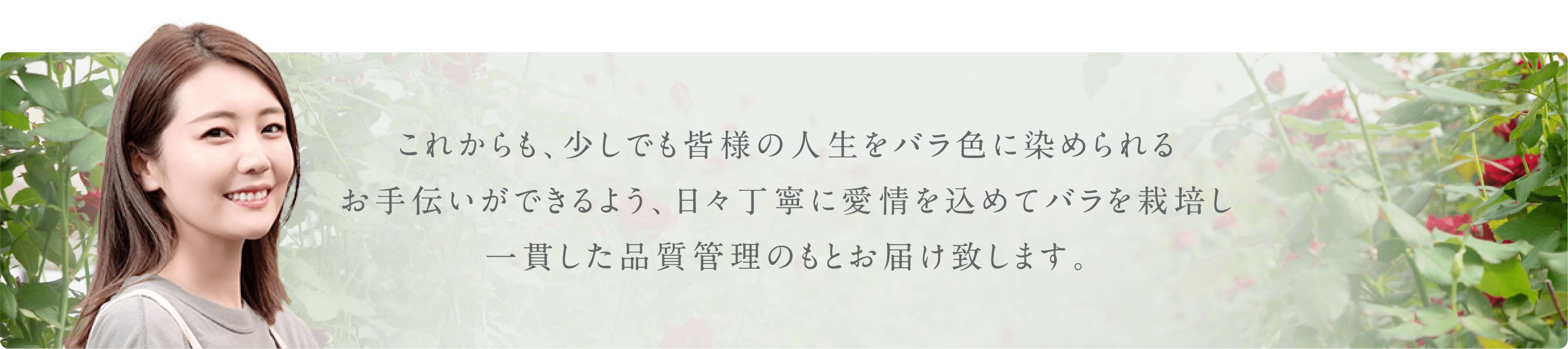 これからも、少しでも皆様の人生をバラ色に染められるお手伝いができるよう、日々丁寧に愛情を込めてバラを栽培し一貫した品質管理のもとお届け致します。