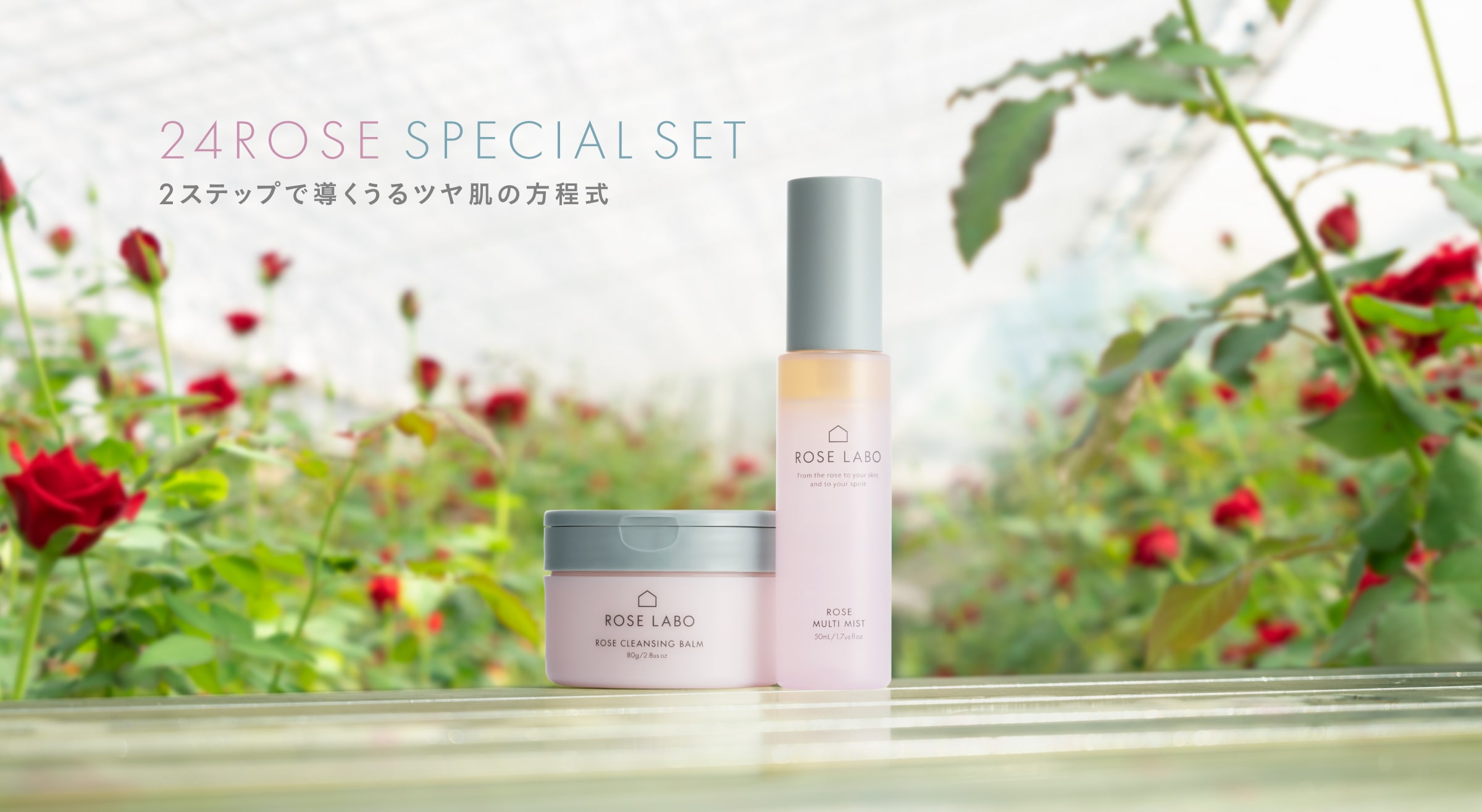 24ROSE スペシャルセット
